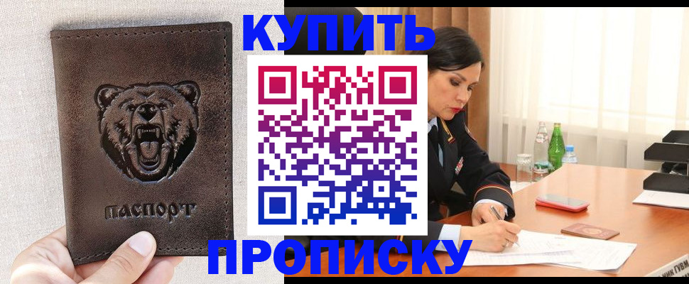 где прописаться в Светлогорске
